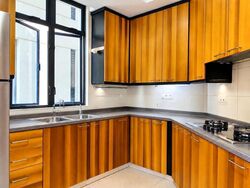 Valley Park (D10), Condominium #632933981